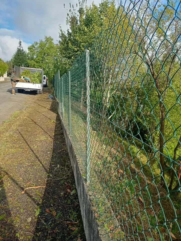 débroussaillage et taille haies à Auch